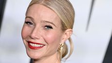gwyneth paltrow on a white background