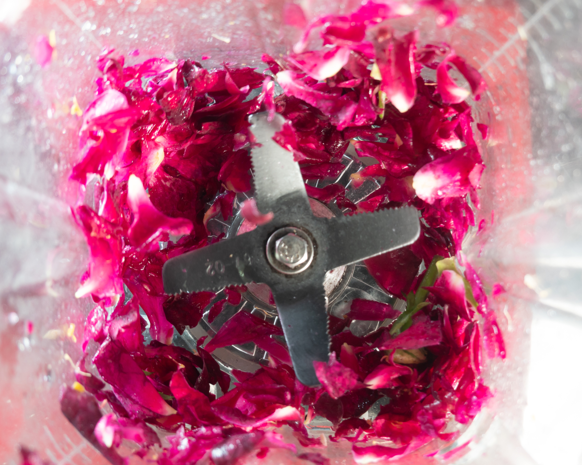 rose petals in a blender