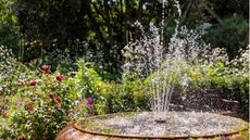 Garden fountain with planting in the background