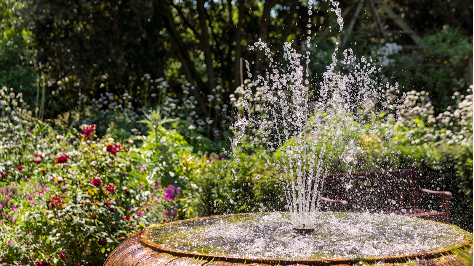 Garden fountain with planting in the background