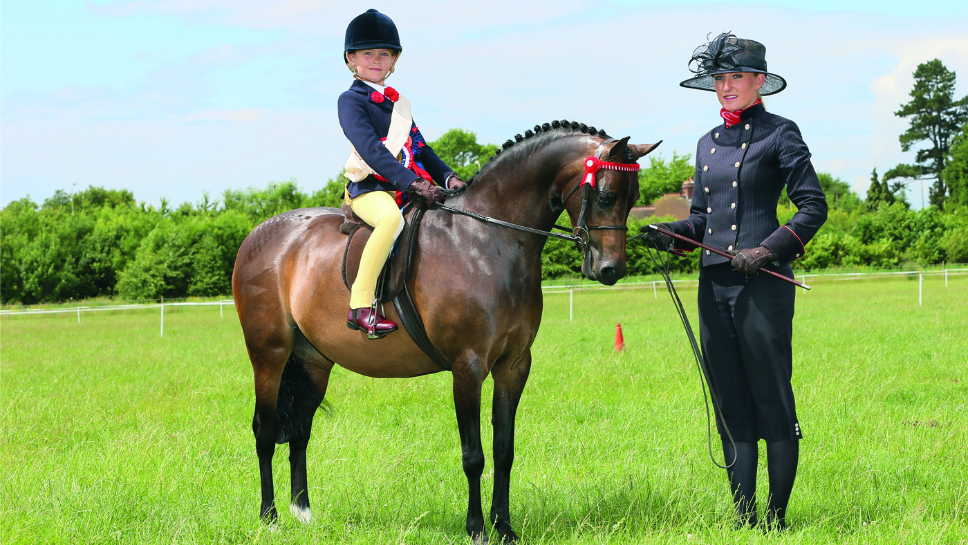 Lead-rein pony Hollybush Enchantment: the transition to first-ridden pony requires plenty of training