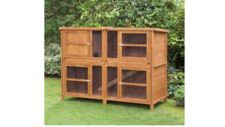 Chartwell Double Rabbit Hutch outside in a garden
