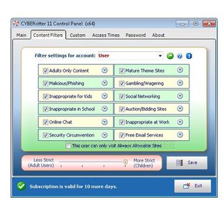 Cybersitter image: Content filters can be set to block websites by type.