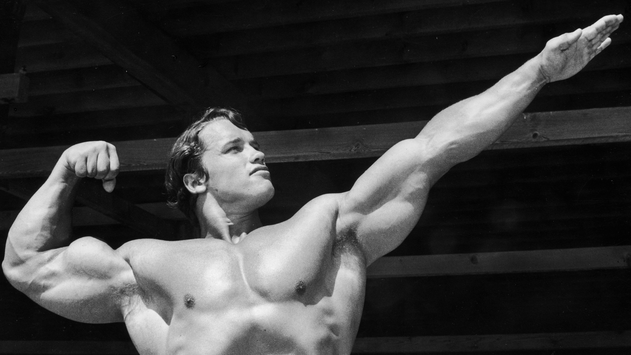 Arnold Schwarzenegger during his hey day