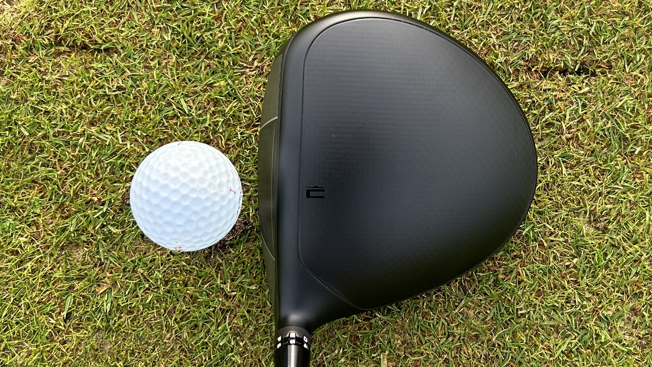Photo of the Cobra DS-ADAPT MAX-D Driver in the address position