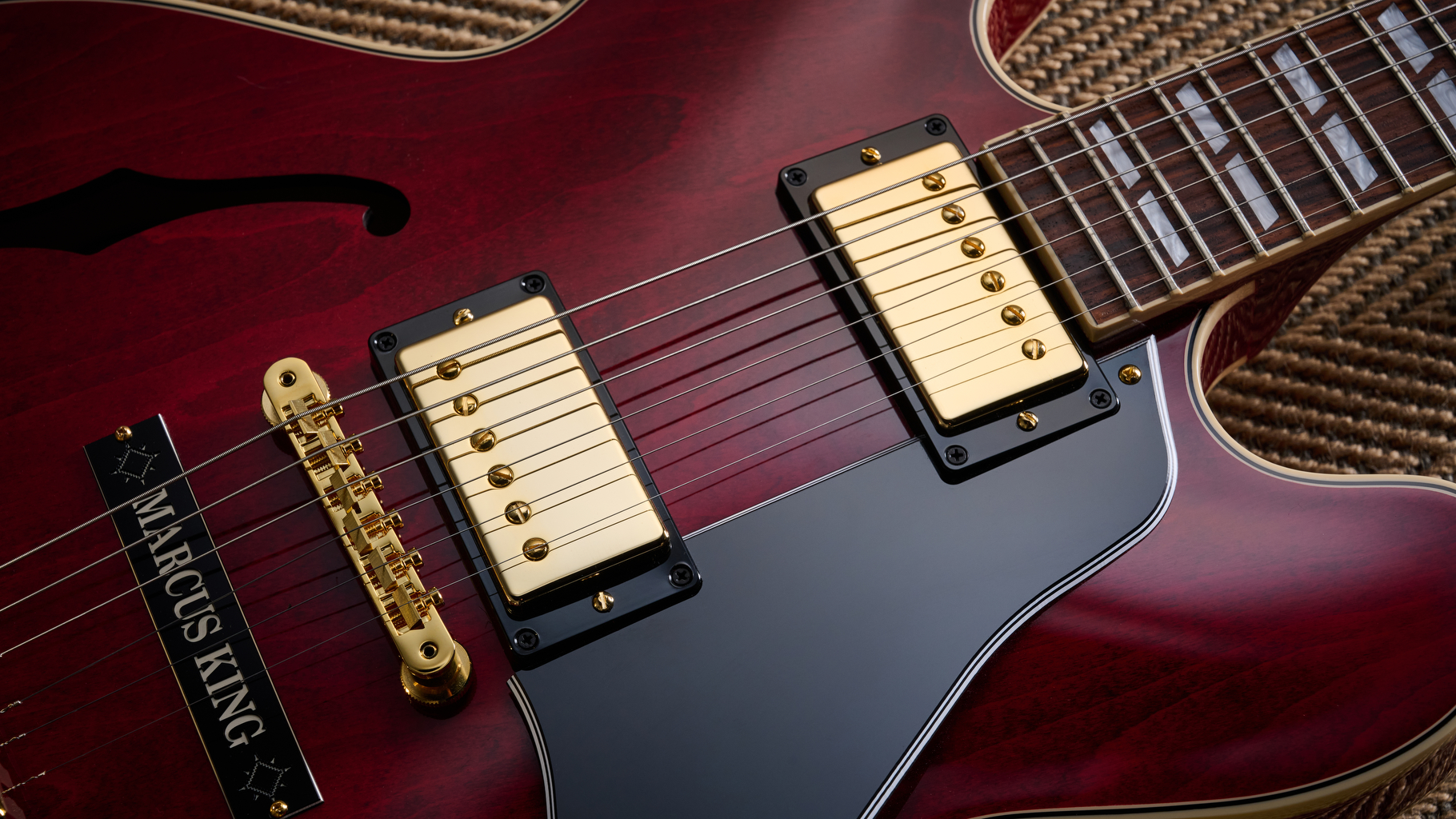 Gibson Marcus King ES-345 review