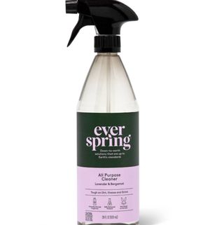 Ever Spring All Purpose Cleaner