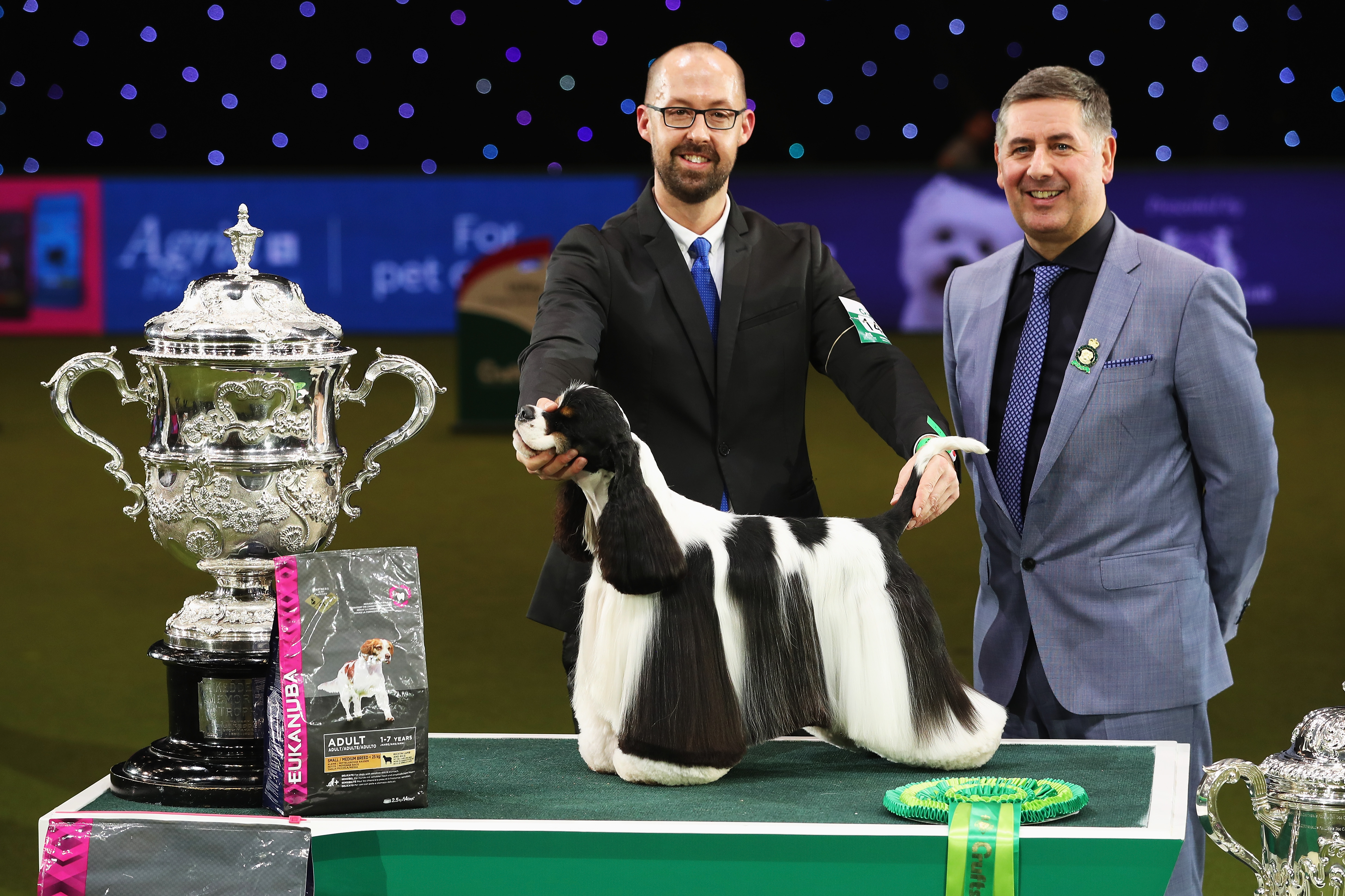 American cocker spaniel Afterglow Miami Ink with handler Mr Jason Lynn and judge Mr Jeff Horswell beside the Crufts Best in Show trophy at the NEC in Birmingham, 2017.