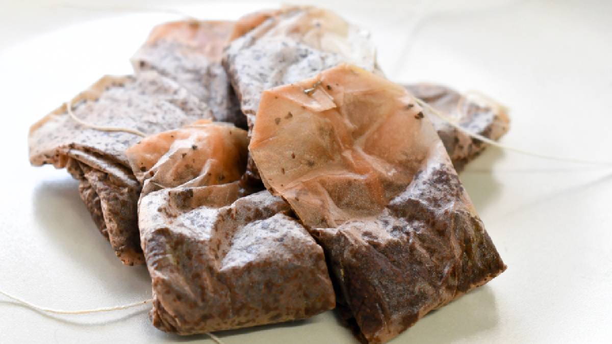 Used tea bags on a small white plate