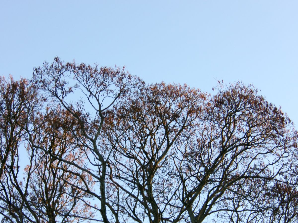 A photo taken on a Kodak PIXPRO FZ45 compact camera