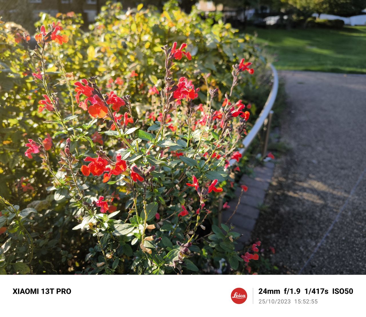 A photo taken on the Xiaomi 13T Pro