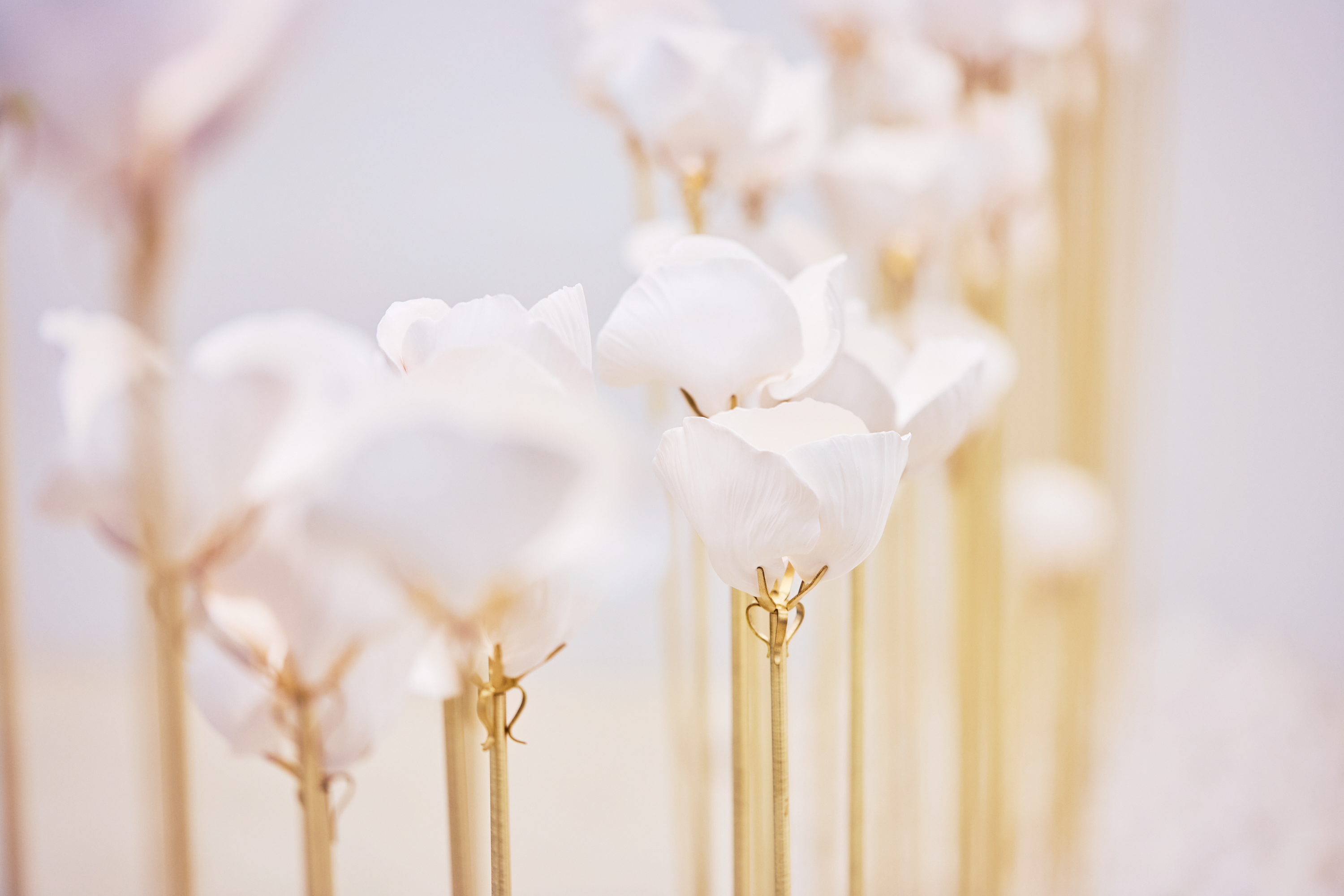 Scented porcelain roses at Francis Kurkdjian exhibit Perfume, Sculpture of the Invisible