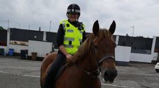 Police-horse-Rose-thumbnail.jpeg