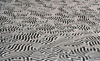 Part of an art piece by Yamamoto made of lines of salt