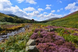 Harthope Valley, Cheviot Hills, Northumberland