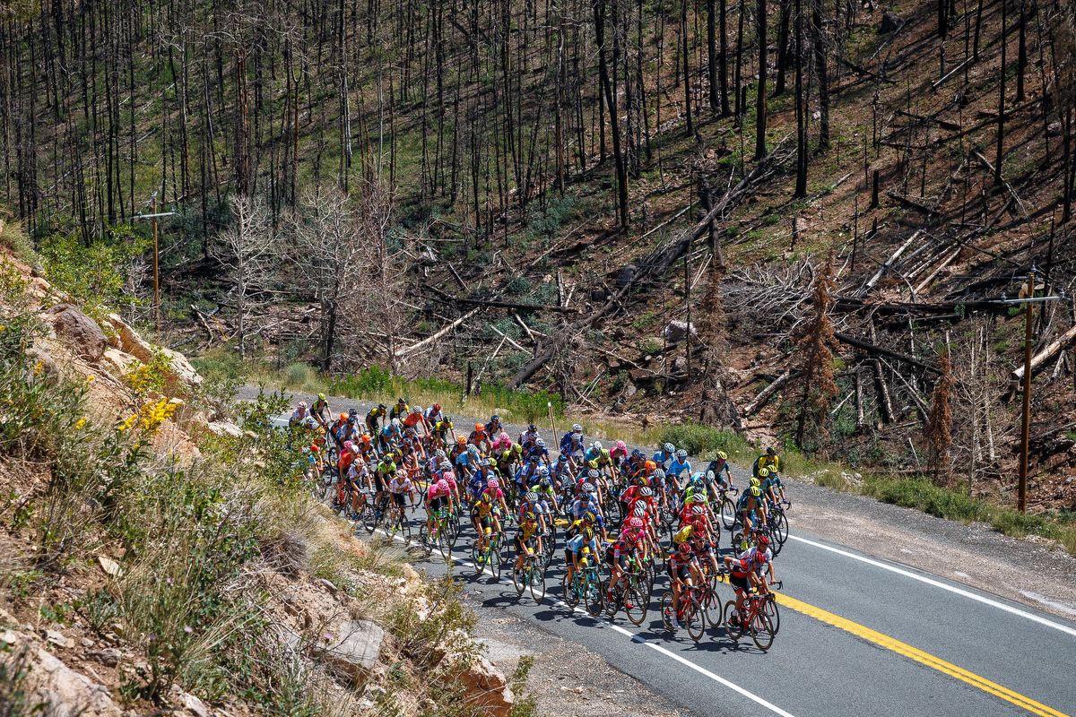 The peloton climbs during stage 1 at the Tour of Utah