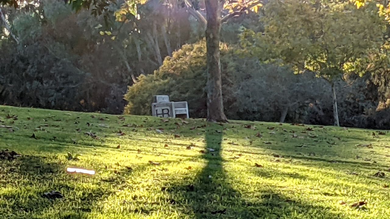 Google Pixel 5a camera samples