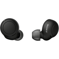 Sony WF-C500 |