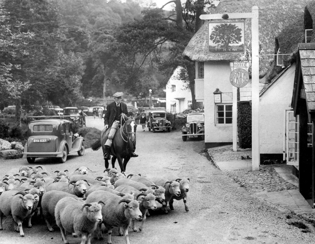 A man on horseback drives a flock of horned sheep through a village street past parked cars and a thatched inn.