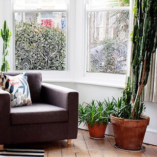 room with wooden flooring and white wall and potted plant