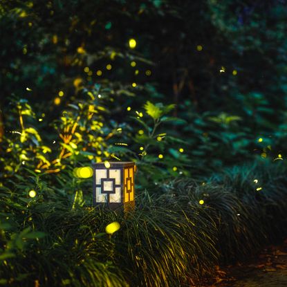 fireflies along garden path with light