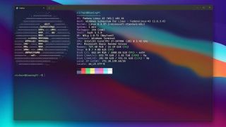 Fedora running on WSL in Windows Terminal on Windows 11. 
