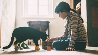 Cat playing with girl and toy