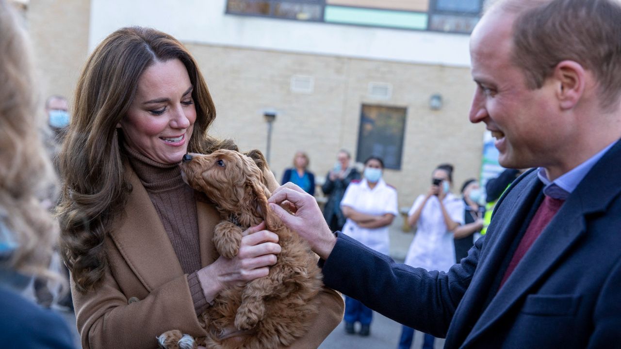 Britain&#039;s Catherine, Duchess of Cambridge, watched by her husband Britain&#039;s Prince William, Duke of Cambridge, holds a therapy puppy, before unveiling it&#039;s name, Alfie, to members of staff during their visit to Clitheroe Community Hospital in north east England on January 20, 2022