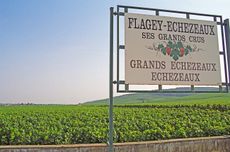 Echézeaux grand cru