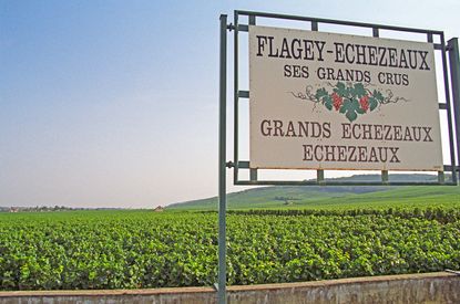 Echézeaux grand cru