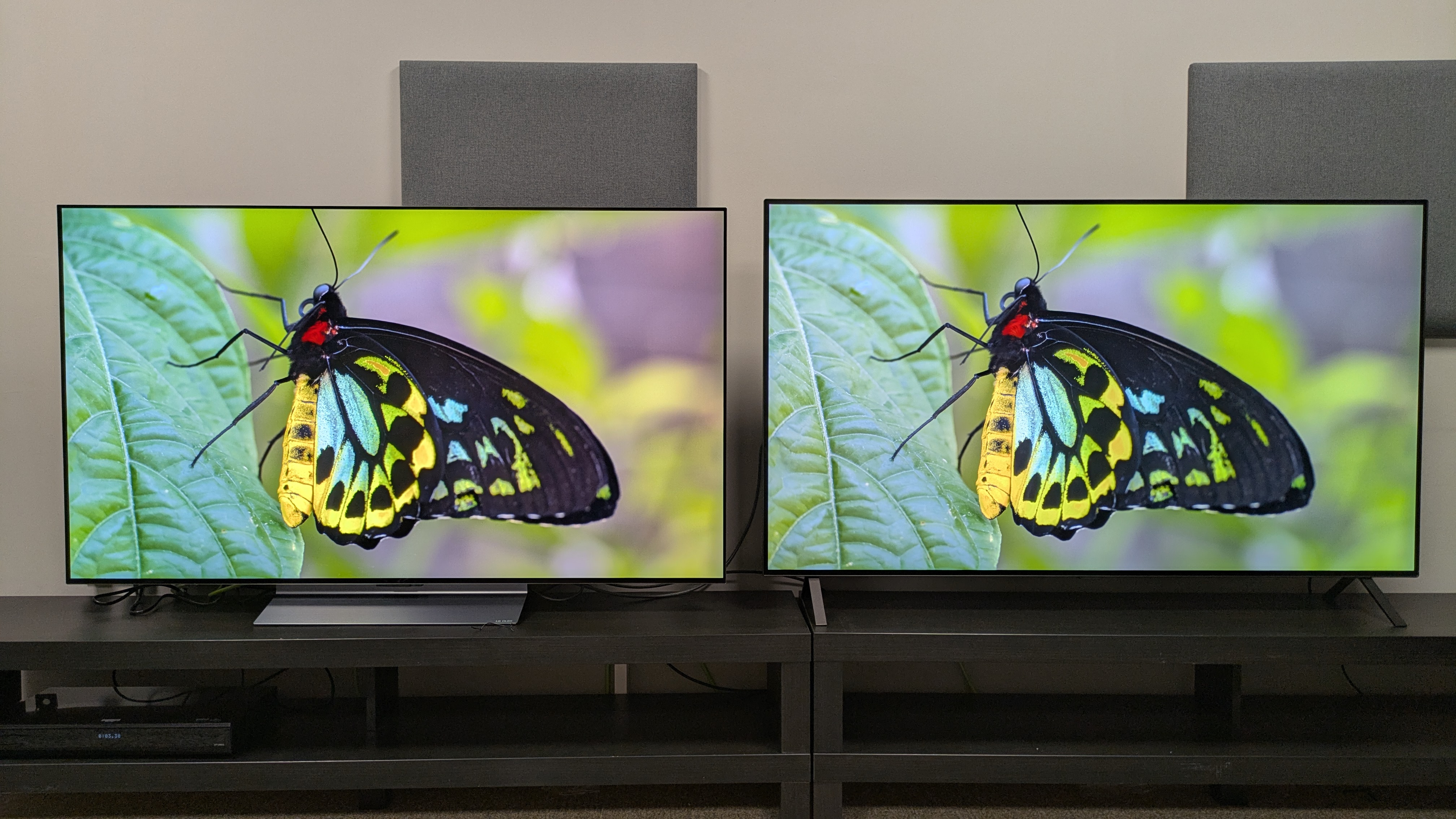 LG C5 (left) and LG B5 (right) displaying yellow butterfly on screen 