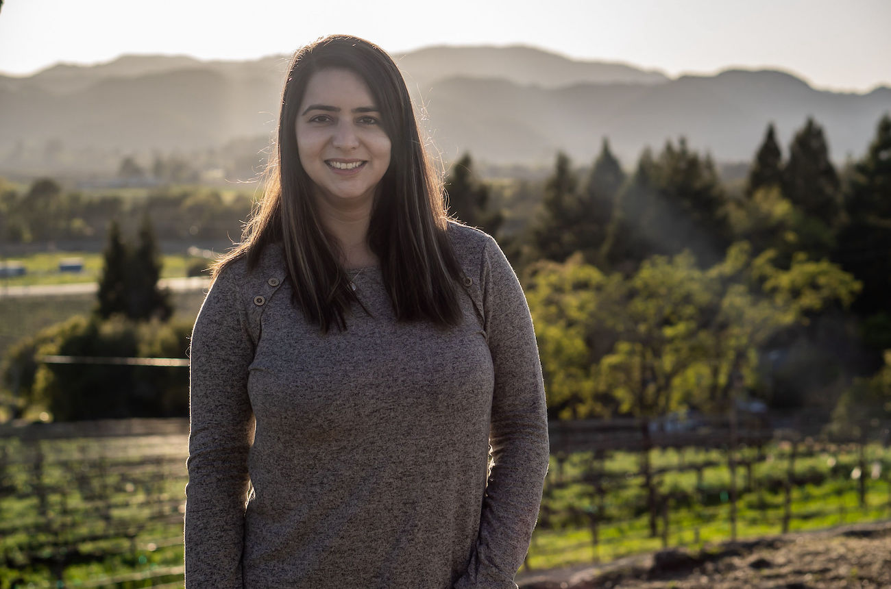 Signorello Estate Priyanka French