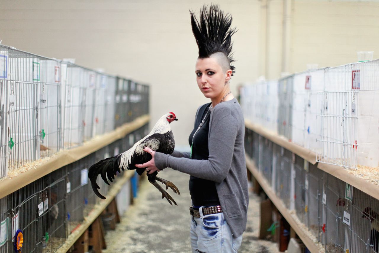 A poultry show in Scotland.