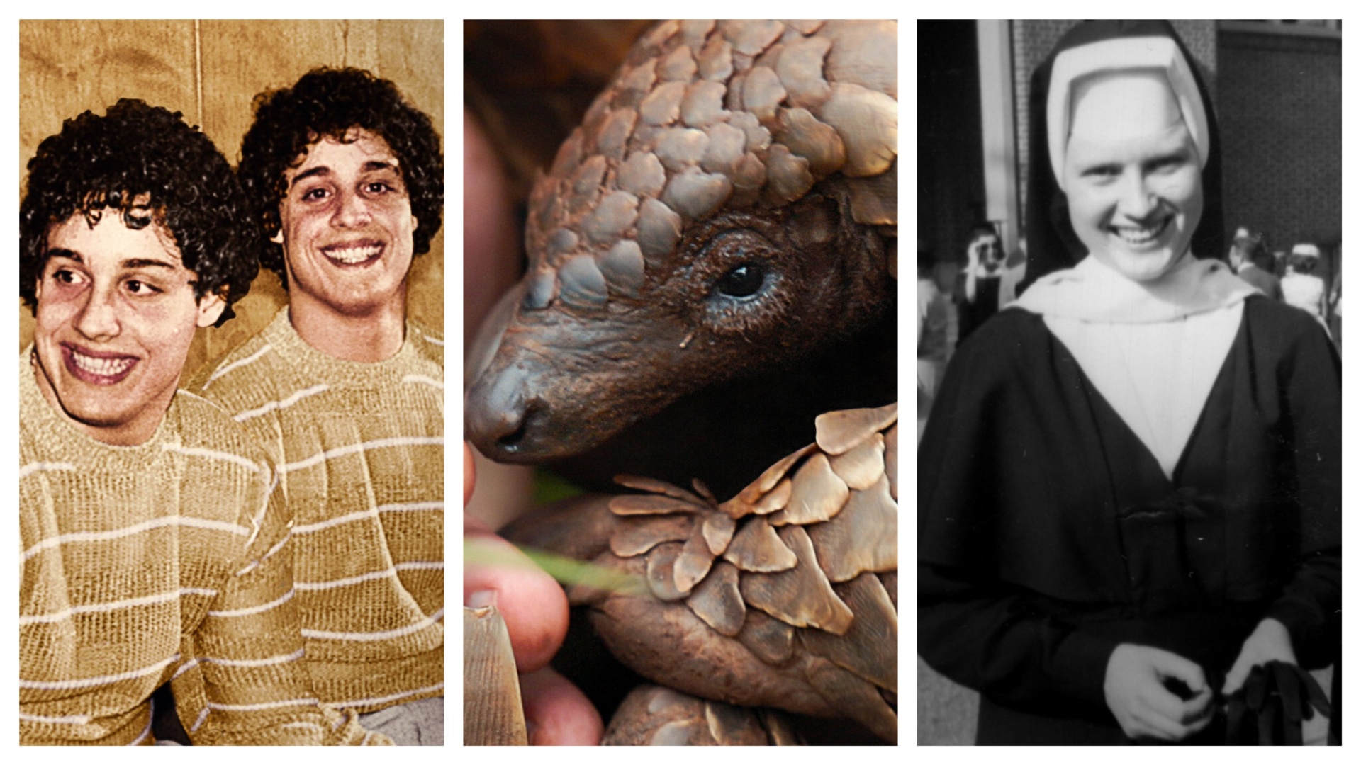 Netflix documentaries sliced together