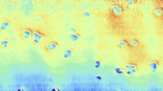 sonar image showing holes in the seafloor