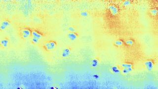 sonar image showing holes in the seafloor