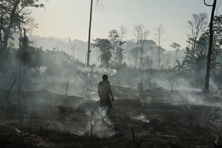 Maya Biosphere reserve fire damage