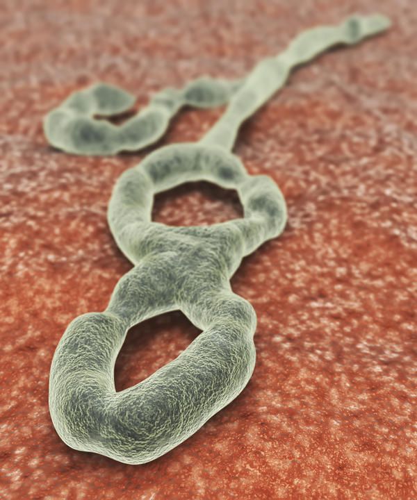 U.S. Ebola patients expected to return to the U.S. for treatment