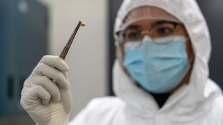 A researcher wearing a white plastic suit, surgical mask and googles holds up a tooth with a pair of long tweezers