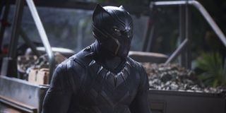 Black Panther in Black Panther