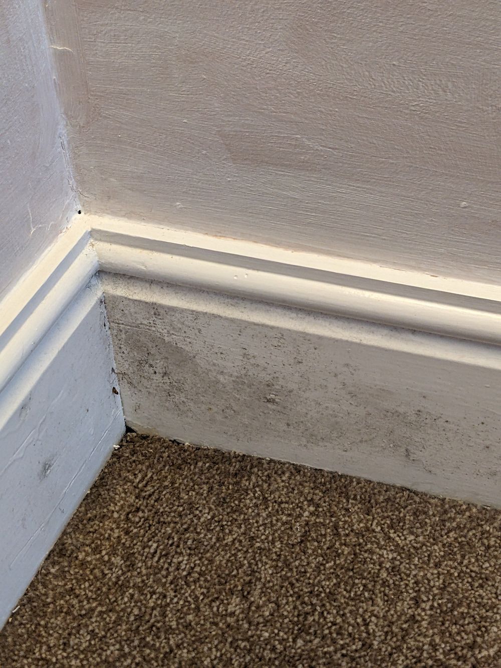 A wall damaged by condensation and mould