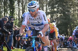 Eventual second placed Italian Sonny Colbrelli of Bahrain Victorious C rides during the mens elite race of the Omloop Het Nieuwsblad oneday cycling race 2042km from Gent to Ninove on February 26 2022 Belgium OUT Photo by DAVID STOCKMAN Belga AFP Belgium OUT Photo by DAVID STOCKMANBelgaAFP via Getty Images