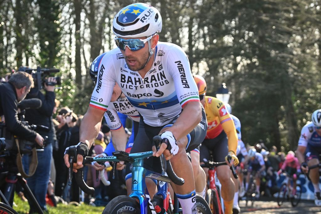 Eventual second placed Italian Sonny Colbrelli of Bahrain Victorious C rides during the mens elite race of the Omloop Het Nieuwsblad oneday cycling race 2042km from Gent to Ninove on February 26 2022 Belgium OUT Photo by DAVID STOCKMAN Belga AFP Belgium OUT Photo by DAVID STOCKMANBelgaAFP via Getty Images