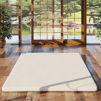 Alo Yoga Warrior Mat review: soft, spongy and stable