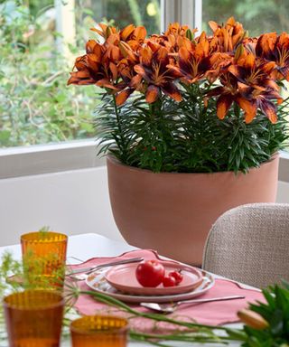 Orange Trendy Las Palmas lilies and tablescape