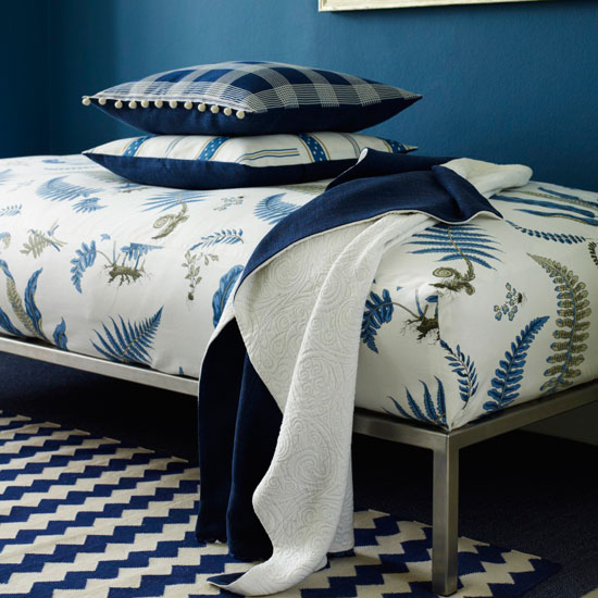 Blue wall with carpet on flooring and cushions