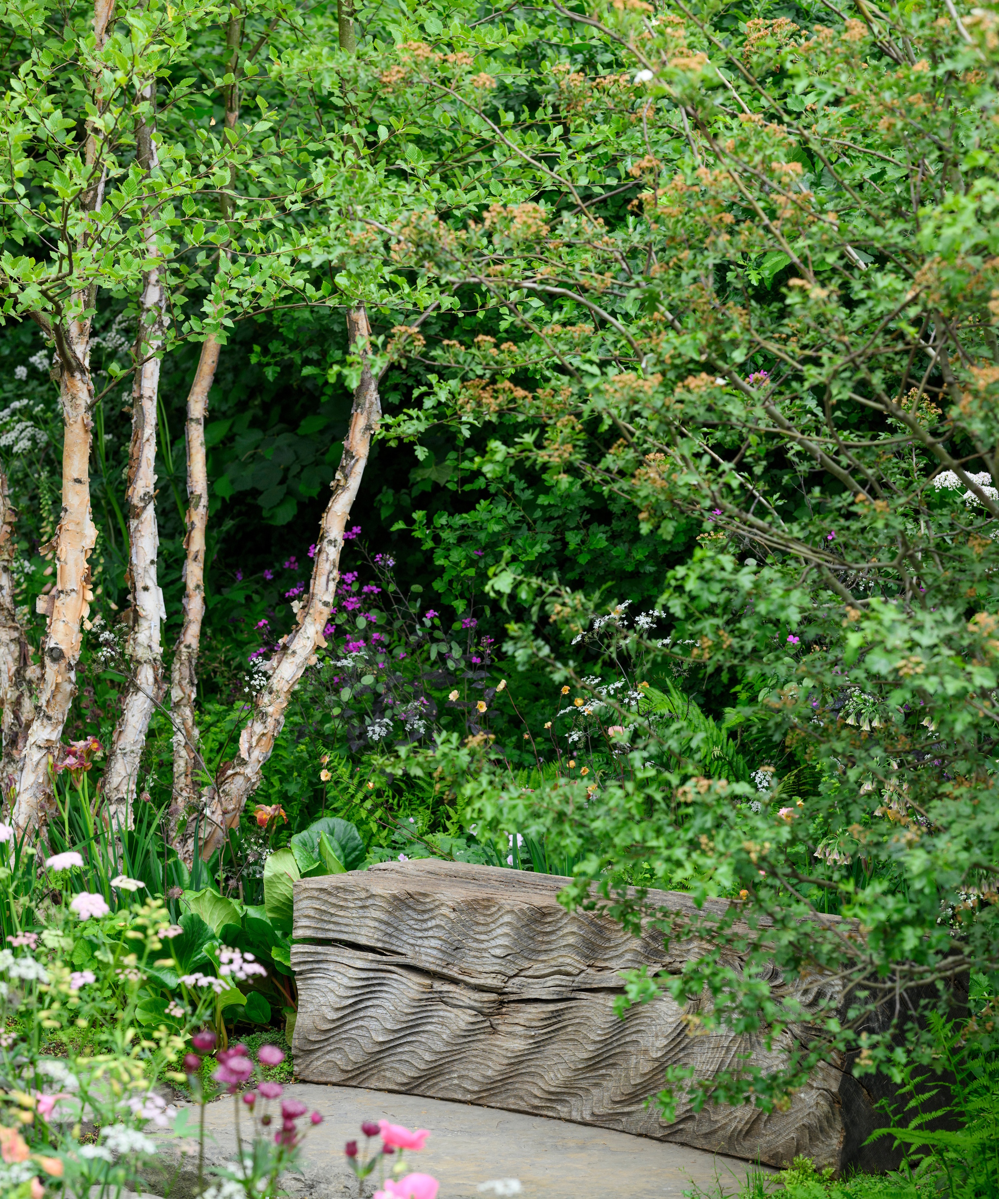 Large wooden bench nestled in thick, textured foliage and trees