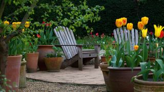 garden lounge chair in a small paved garden with potted flowers dotted all around in