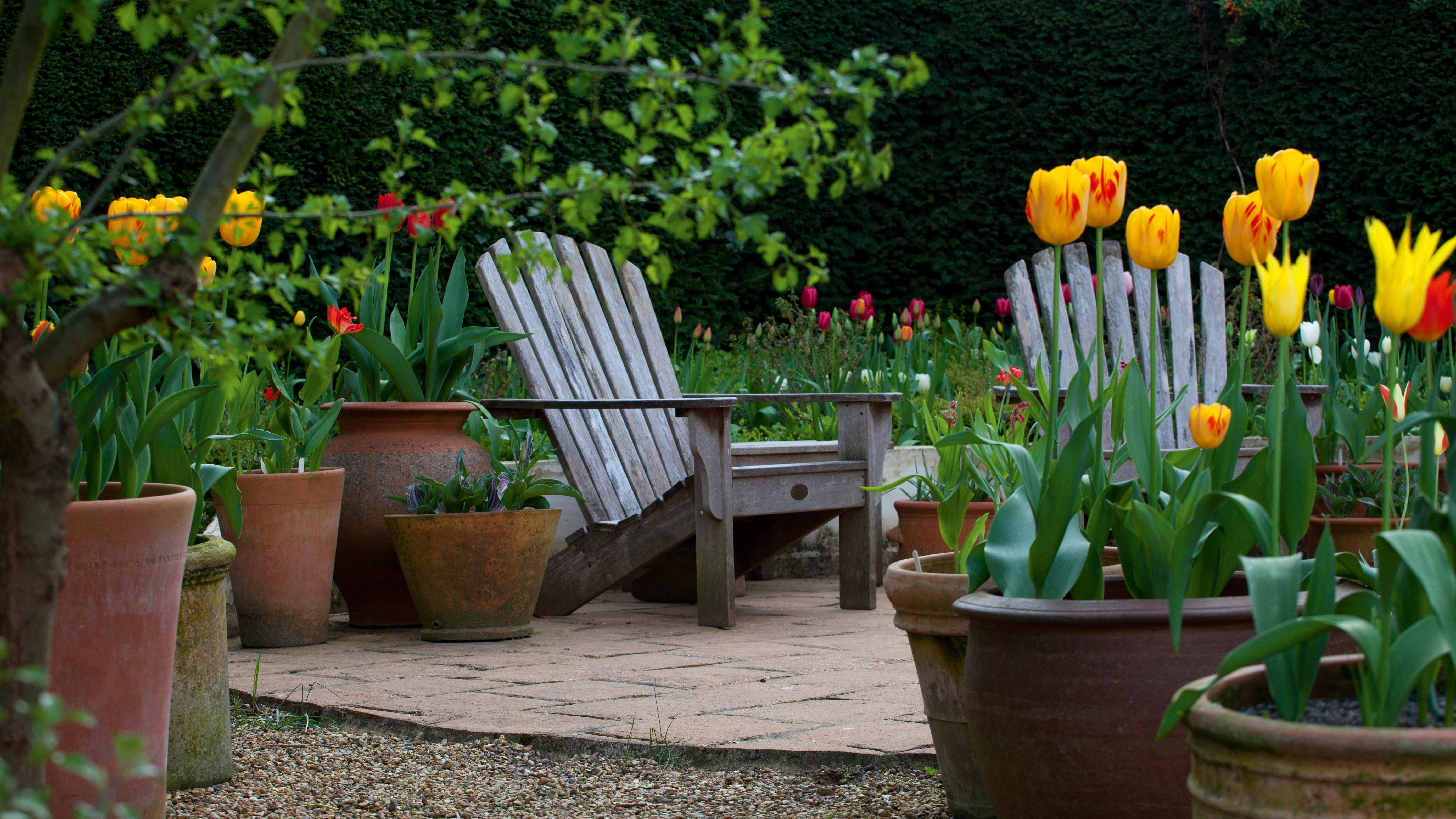 garden lounge chair in a small garden