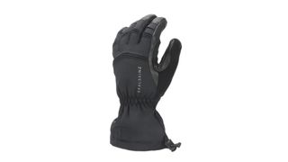 Sealskinz Extreme Cold Weather Gauntlet on white background